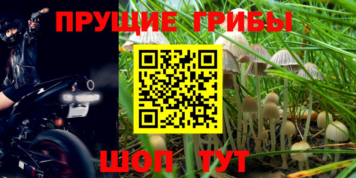 Рославль  Галлюциногенные грибы ЛСД  Вход с VPN 