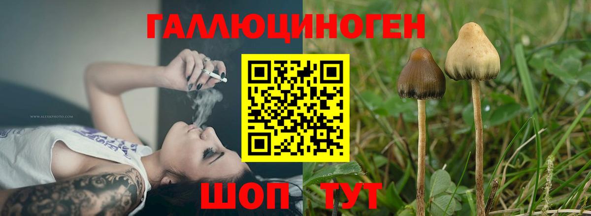 Галлюциногенные грибы Magic Shrooms Рославль